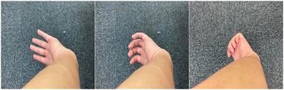 Feeling of hand deformation as a monkey's hand: an experiment on a visual body with discomfort and its algebraic analysis